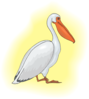 Pelican With Yellow Background Clip Art